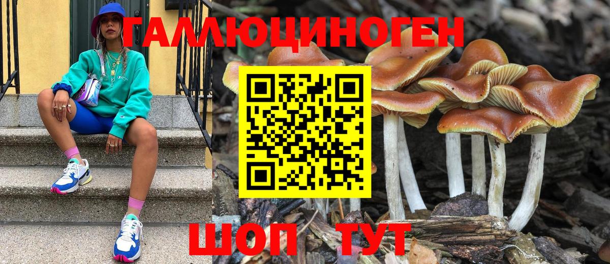 Псилоцибиновые грибы прущие грибы Будённовск